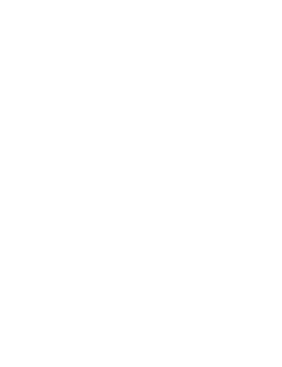 Victor Sancho Passos Logo